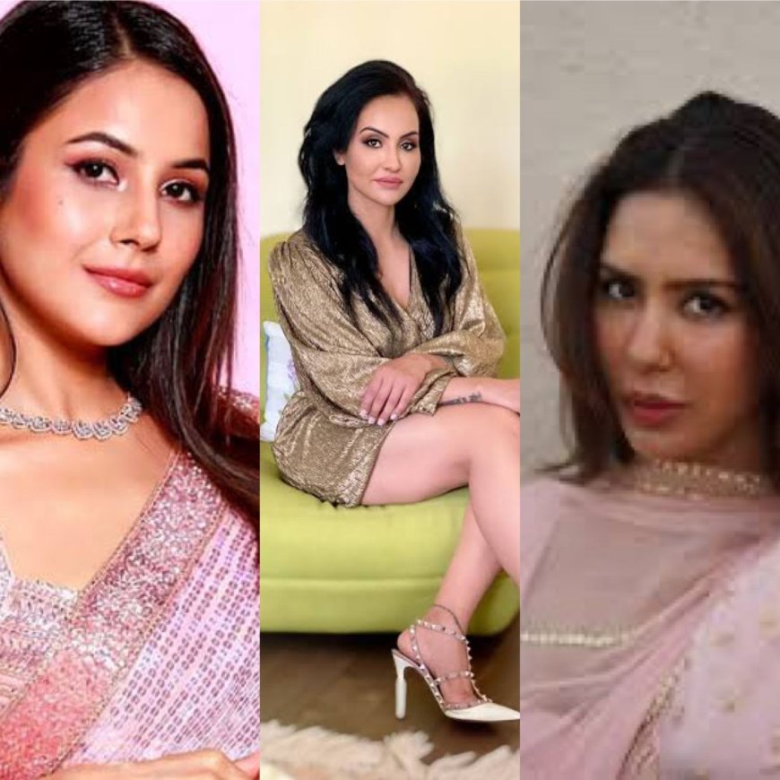 Three divas who are setting the Punjabi entertainment industry on fire