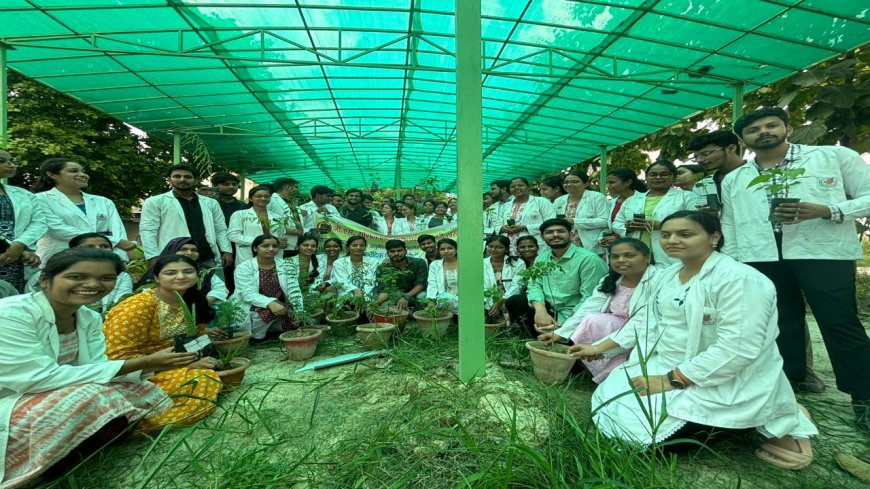 Sardar Patel and Javitri Institute cultivate Ayurvedic herbs