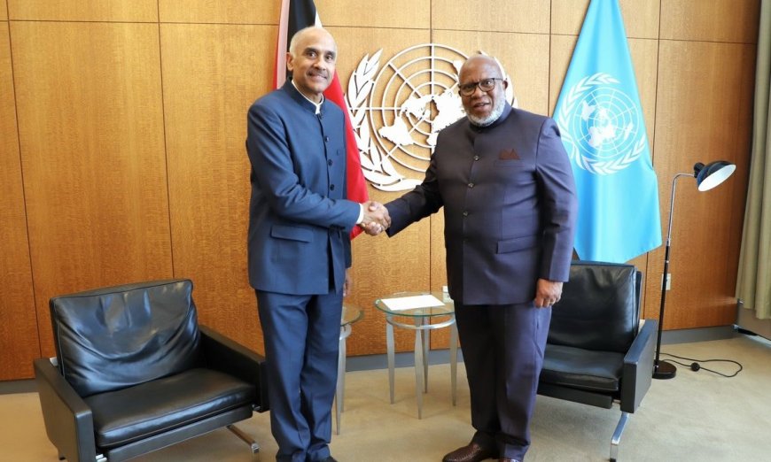 Harish Takes the Helm as India's UN Representative