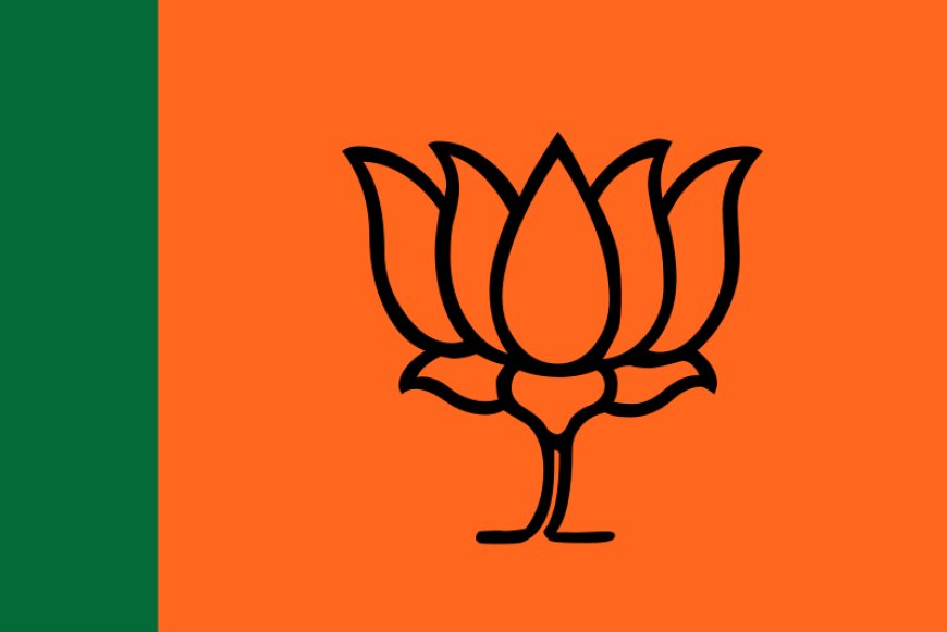 BJP Protests Against J&K Assembly Resolution on Special Status