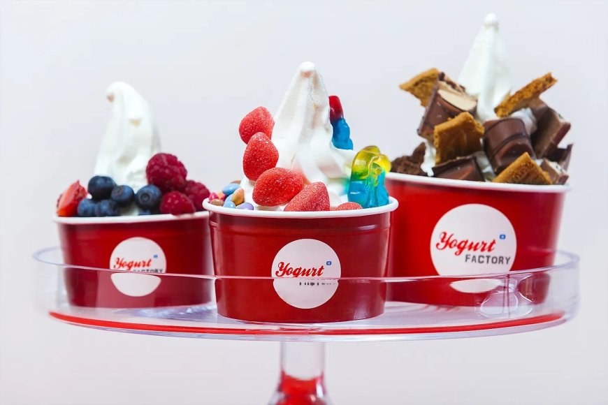 Yogurt Factory Debuts in India in Partnership with Fran Global