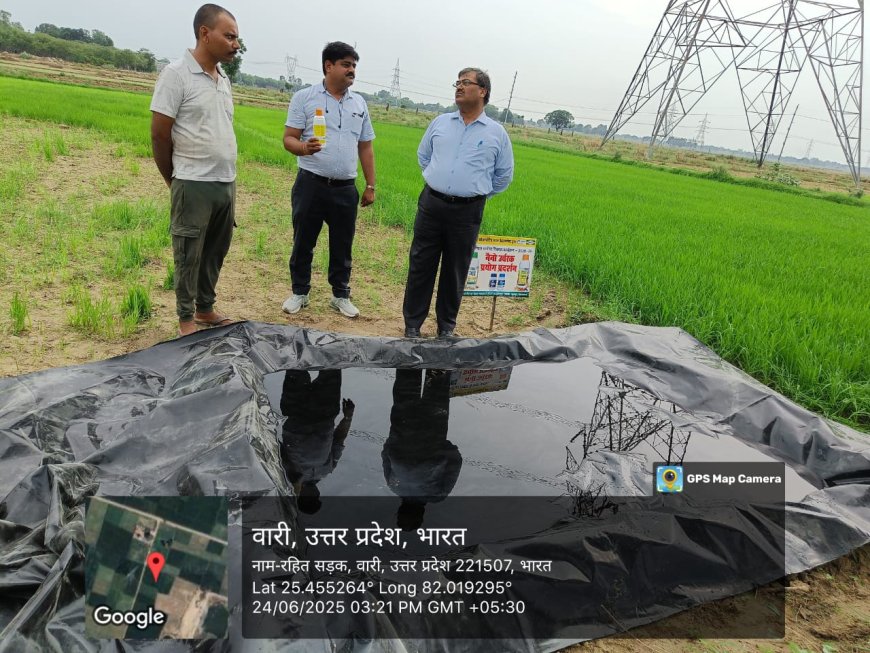 Farmers Embrace Nano DAP for Healthier Paddy Roots in Prayagraj