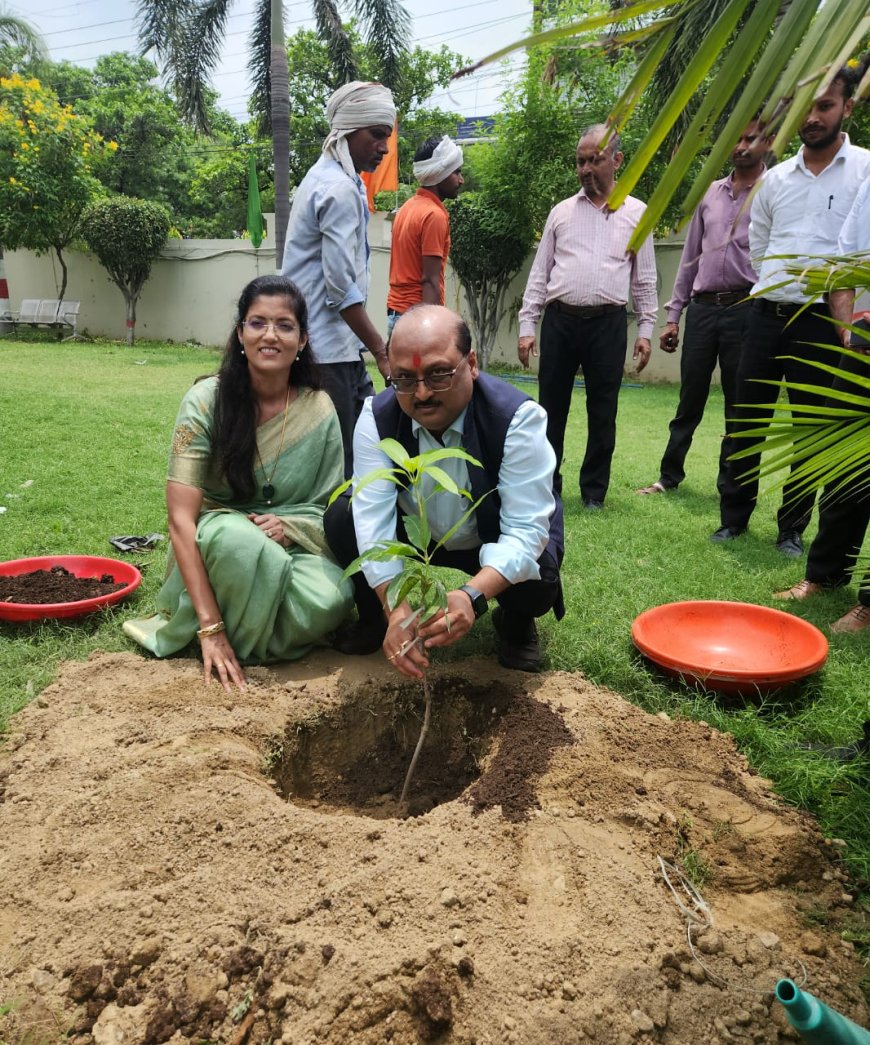 SKD Group Launches Green Revolution During Wisdom Week to Celebrate Director’s Birthday