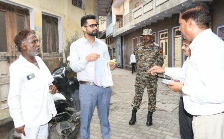 Rregularities Found During Municipal Commissioner’s Inspection of Wards