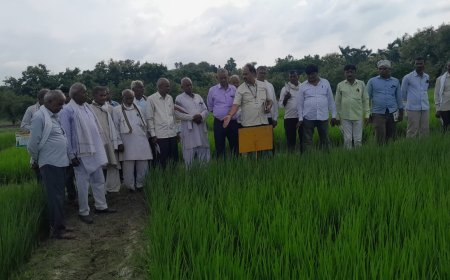 IFFCO's Nano Fertilizers Pave the Way for Sustainable and Affordable Farming