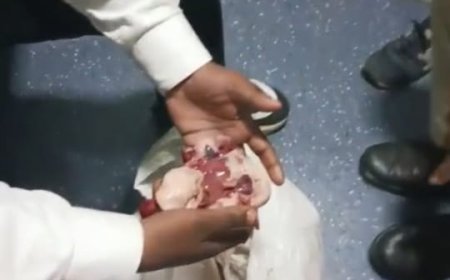 Kerala Express: Illegal Meat Supply in Disabled Coach Sparks Uproar"