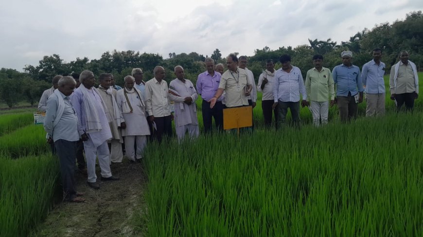 IFFCO's Nano Fertilizers Pave the Way for Sustainable and Affordable Farming