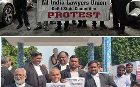 High Court lawyers protest attack on CJI