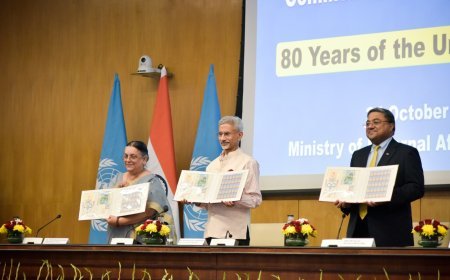All is not well with the UN : S. Jai Shankar