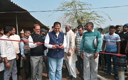 District Panchayat President inaugurated the drainage pipeline
