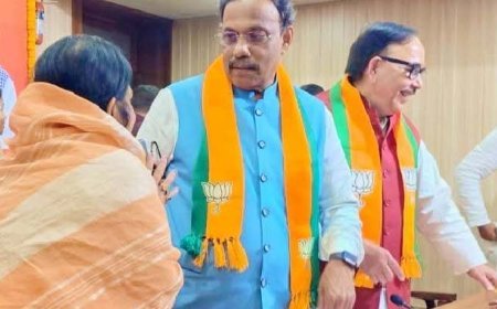 Gangapar Chief Nirmala Paswan Proposes Pankaj Chaudhary for UP BJP Top Post