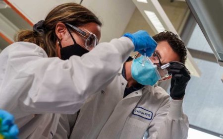 Cannabis Microdosing Stalls Decline in Alzheimer's Patients