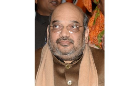 Amit Shah Urges Green Projects and Skill Training