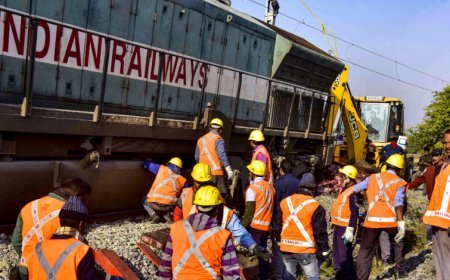 Tragedy in Assam: Rajdhani Hits Elephant Herd