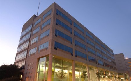 India, New Zealand Aim to Double Trade