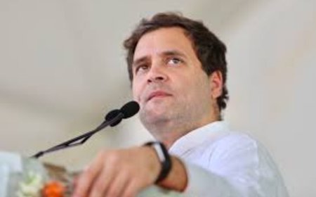 BJP Slams Rahul Gandhi Over Berlin Remarks