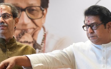 Shinde Slam: Thackeray Cousins Greedy For Power