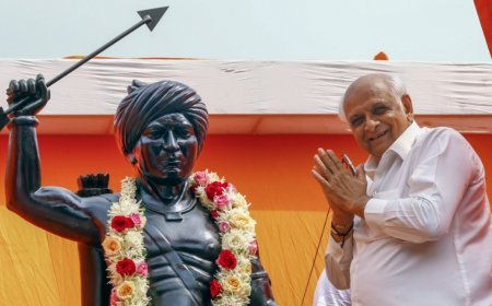 Gujarat 2025: Tragic Plane Crash Meets Conservation Success