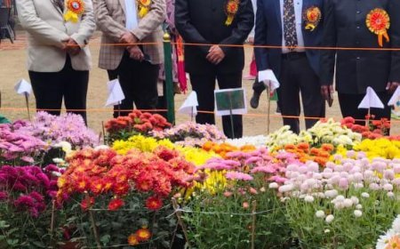 Blooming Glory: Winners Honored at Chrysanthemum and Coleus Exhibition-2025 in Prayagraj