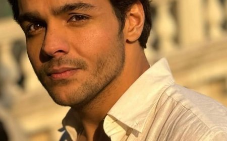 Ashish Chanchlani: The Actor Who Nearly Starred in Stree and Dangal