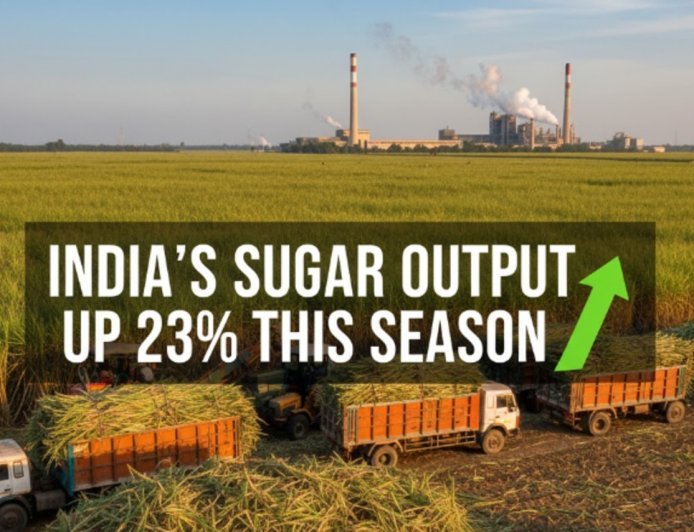 India's Sugar Output Surges 23% This Season