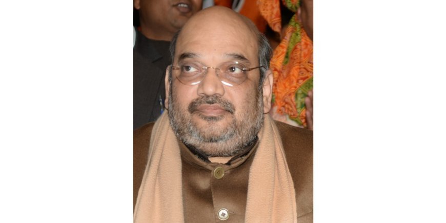 Amit Shah Urges Green Projects and Skill Training