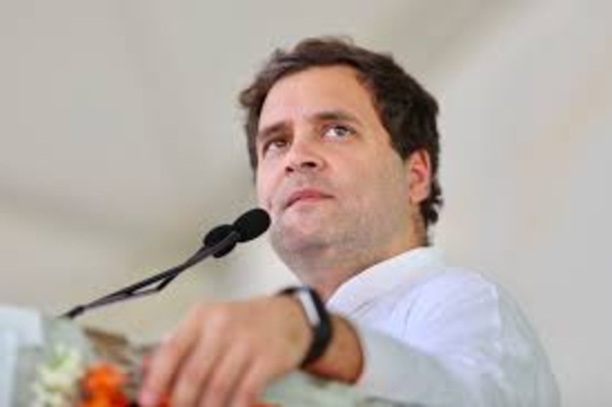 BJP Slams Rahul Gandhi Over Berlin Remarks