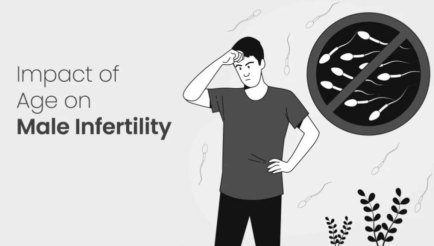 Why Modern Men are Facing a "Fertility Cliff" and the Roadmap to Recovery