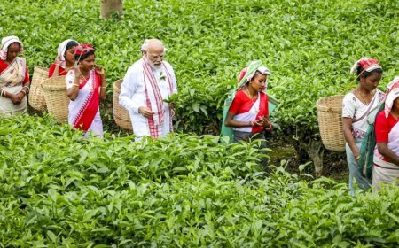 Assam Elections 2026: PM Modi Connects with Tea Workers; BJP Pledges UCC and Massive Investment