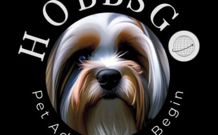 Lucknow Unleashes the Future: India’s First AI-Powered Pet Food Truck Takes the Lead