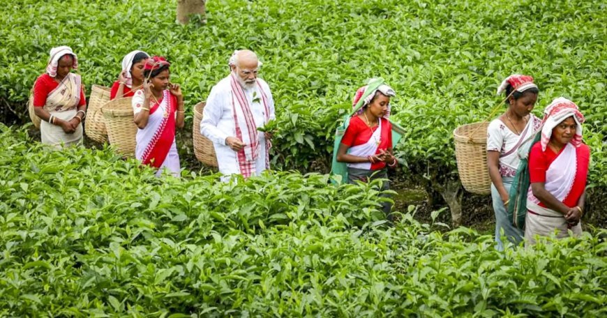 Assam Elections 2026: PM Modi Connects with Tea Workers; BJP Pledges UCC and Massive Investment