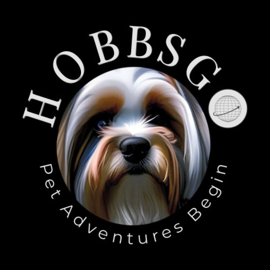 Lucknow Unleashes the Future: India’s First AI-Powered Pet Food Truck Takes the Lead