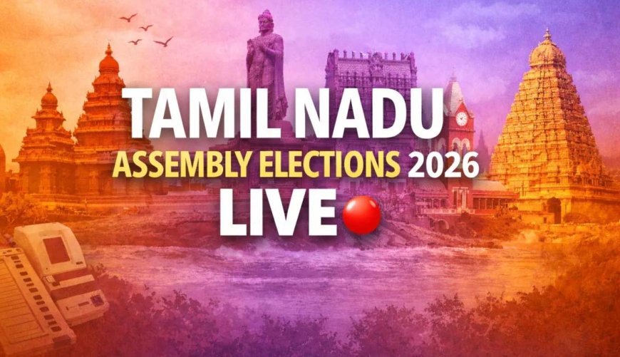 Tamil Nadu Assembly Elections 2026: 17.69% Turnout Recorded Amid Technical Glitches in Tirupur