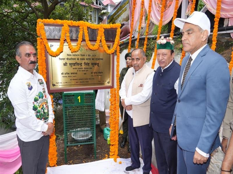 CM Launches First Phase Of Chinar Plantation Drive In Shimla