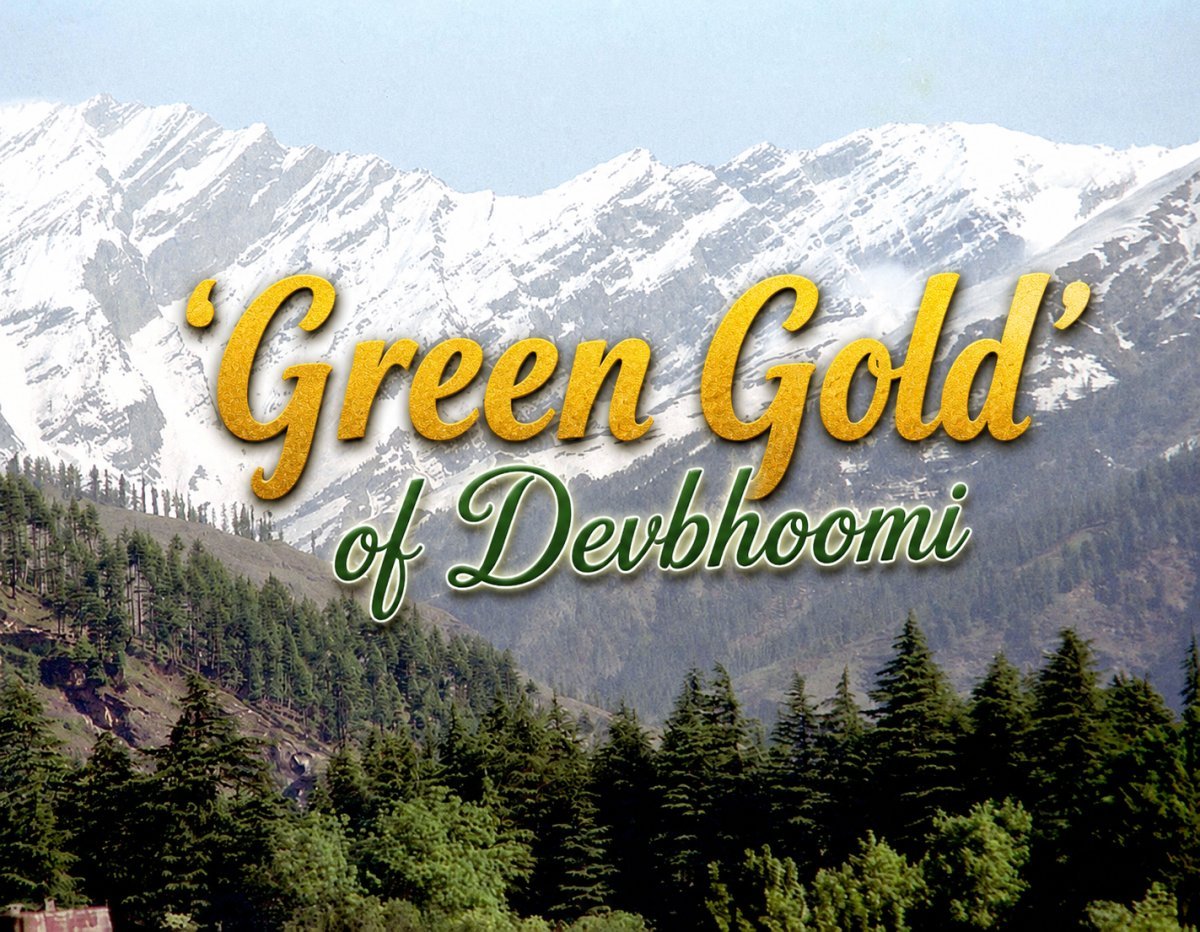 The ₹3.21 Lakh Crore 'Green Gold' of Devbhoomi: Where Gods Guard the Forests and Power India’s Lungs