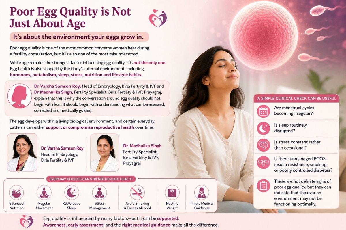 Redefining Fertility: How Everyday Biological Patterns Shape Your Ovarian Health