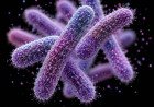 Kerala Shigella Outbreak: Two More Deaths Push Toll To Five