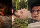 Box Office June 14: Imtiaz Ali’s Latest Leads Fierce Sunday Clash