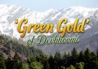 The ₹3.21 Lakh Crore 'Green Gold' of Devbhoomi: Where Gods Guard the Forests and Power India’s Lungs