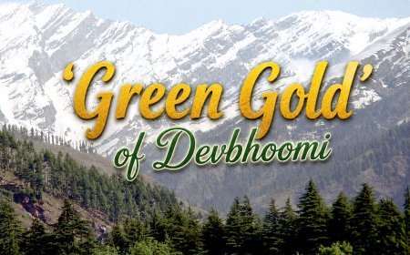 The ₹3.21 Lakh Crore 'Green Gold' of Devbhoomi: Where Gods Guard the Forests and Power India’s Lungs