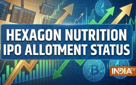 Hexagon Nutrition IPO Allotment Out: Check Status And Latest GMP