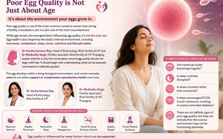 Redefining Fertility: How Everyday Biological Patterns Shape Your Ovarian Health