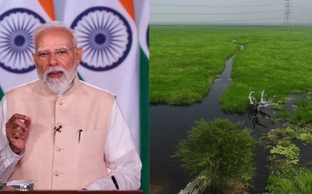 Modi crowns Ballia's Surha Tal as India's historic 100th Ramsar site