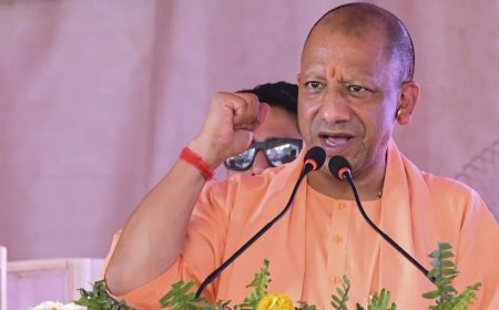Yogi raises UP state lawyers' fees 50% — counsels cheer loudly