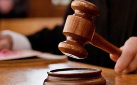 Delhi Court Stays Criminal Proceedings Pending Before Judicial Magistrate
