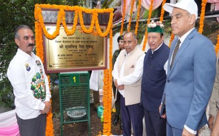 CM Launches First Phase Of Chinar Plantation Drive In Shimla