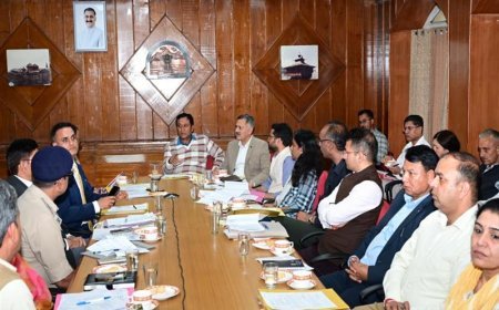 Revenue Minister pushes DCs to unlock idle government land fast