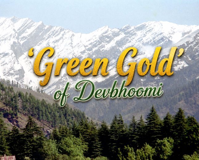 The ₹3.21 Lakh Crore 'Green Gold' of Devbhoomi: Where Gods Guard the Forests and Power India’s Lungs