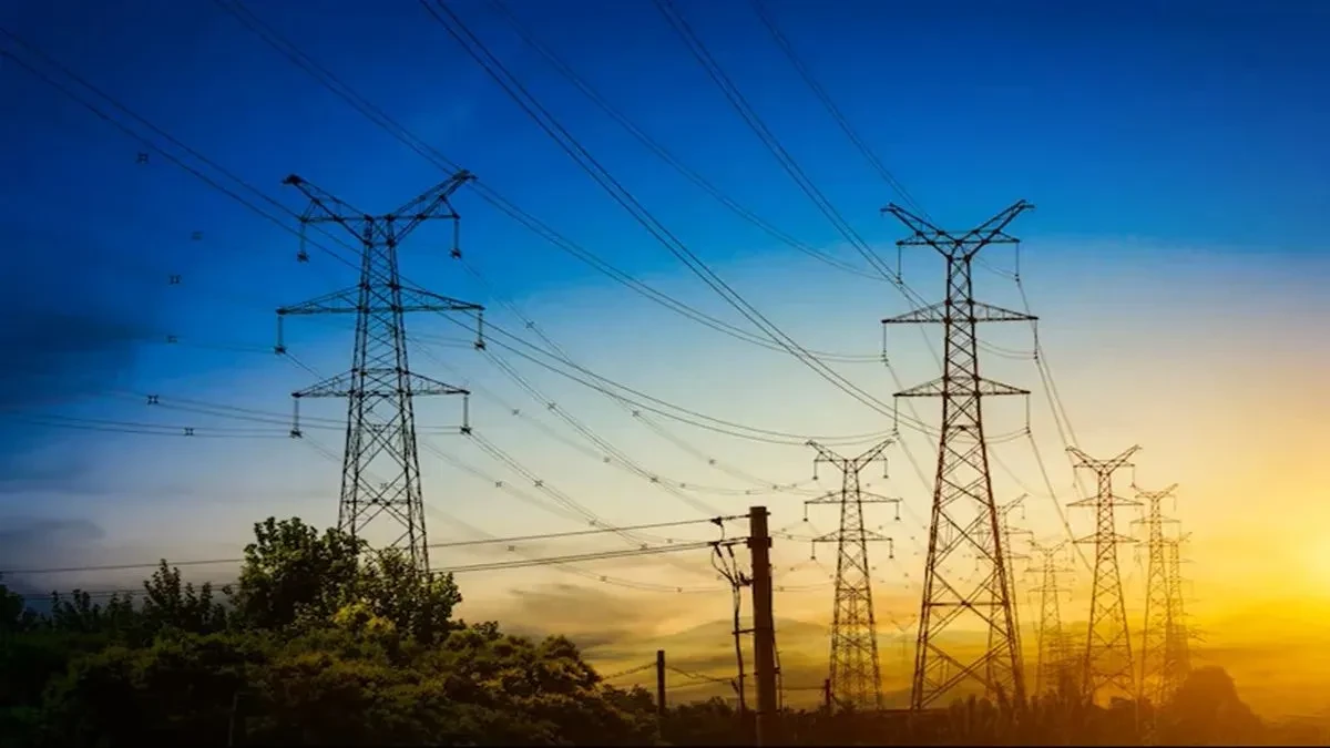 Delhi Government Orders Comprehensive CAG Audit of Private Power Distribution Companies Nationwide