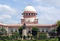 Shimla Deputy Commissioner Orders Strict Enforcement Of Supreme Court Missing Guidelines